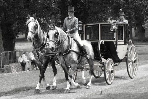 E' possibile guidare egualmente una carrozza "montando il cavallo" chiaramente è più scomodo! Con 4 cavalli il Cocchiere si posizionava sempre sul cavallo di sinistra.