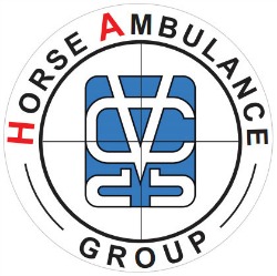 logo H.A. Group-bis