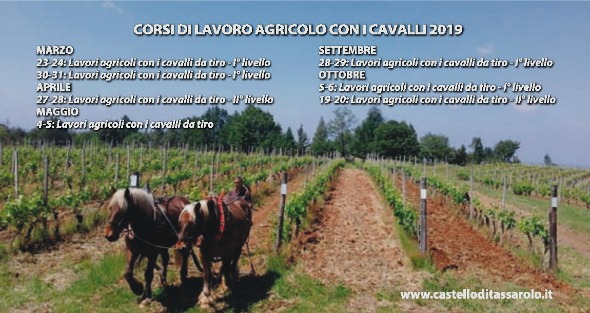 Agricoltura con cavalli da tiro @ Castello di Tassarolo