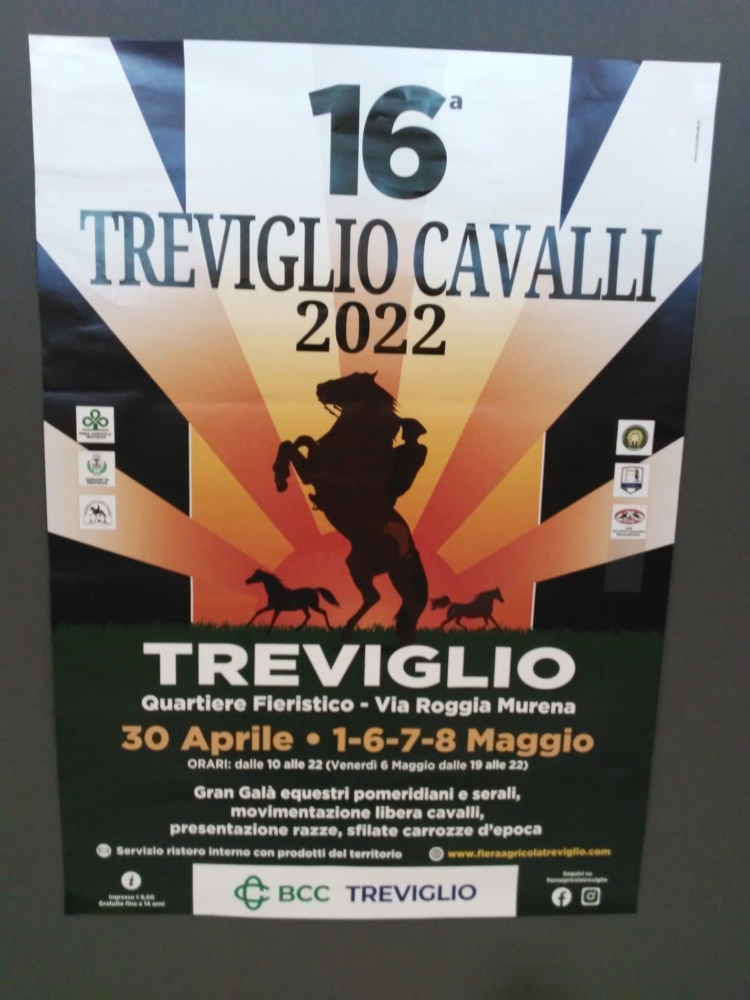 Fiera Treviglio Cavalli 2022 - 1° weekend @ Via Roggia Murena