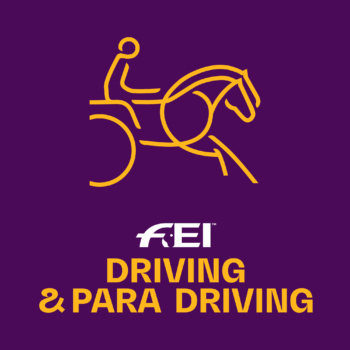 Exloo/Ned, CAI 2* & CAI 3* HP1-2-4, Para-Driving @ Hippisch Centrum Exloo, Valtherweg 27-A